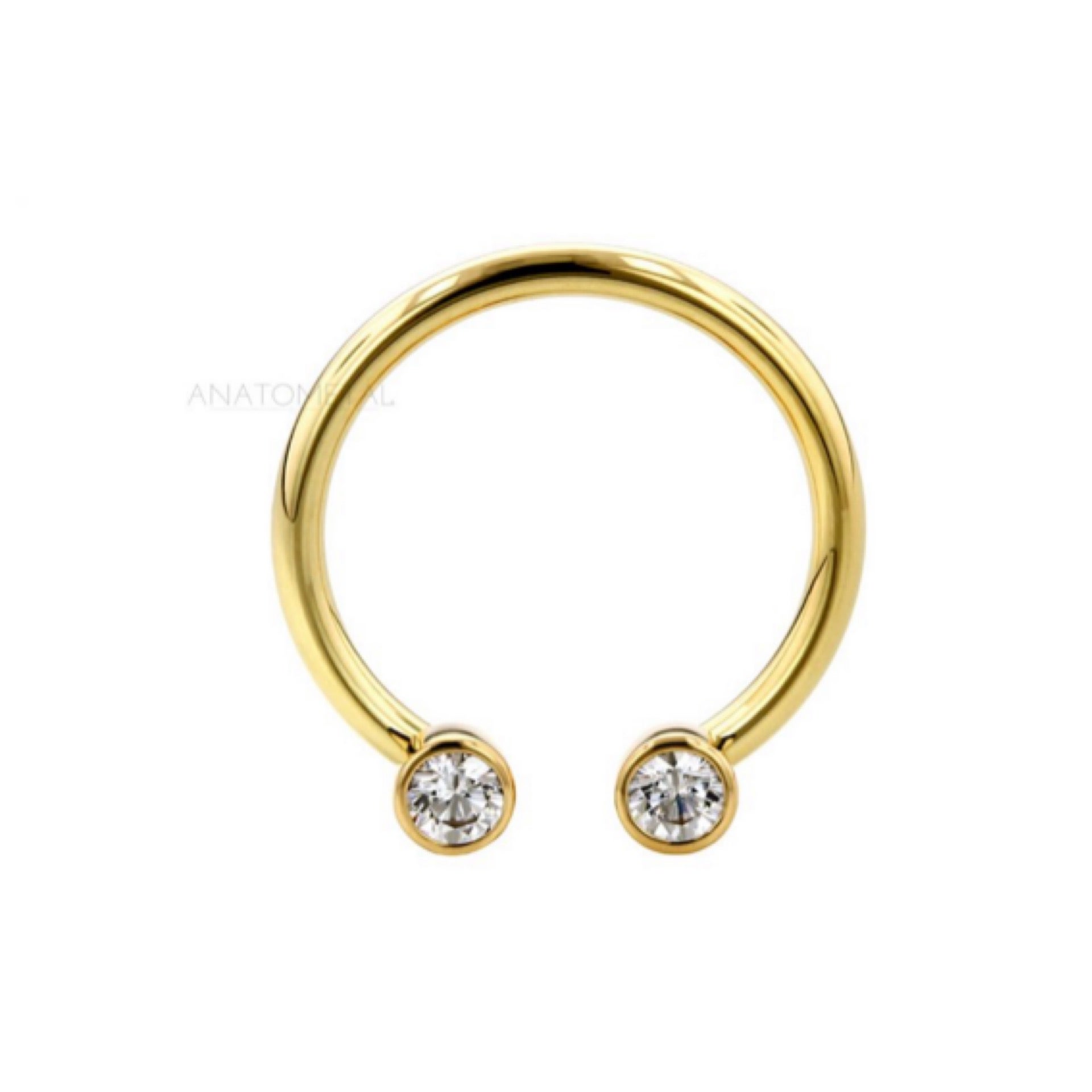 16 Gauge Anodized Titanium Circular Barbells w/ Forward Facing Gems